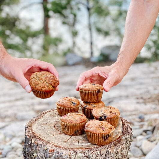 Vegan Rise and Shine Muffins (gf)